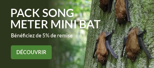 Pack song meter mini bat